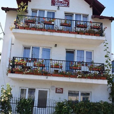Casa Emilia Hotel Vatra Dornei Exterior photo