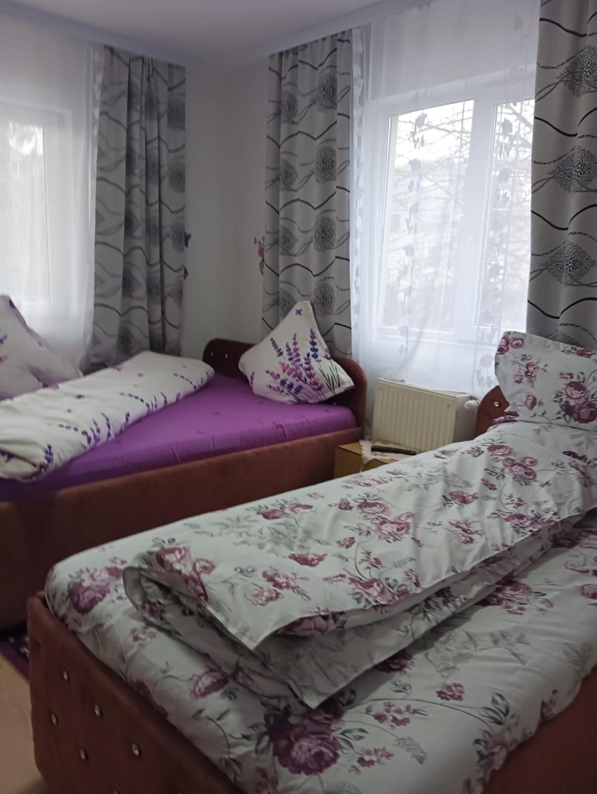 Casa Emilia Hotel Vatra Dornei Room photo